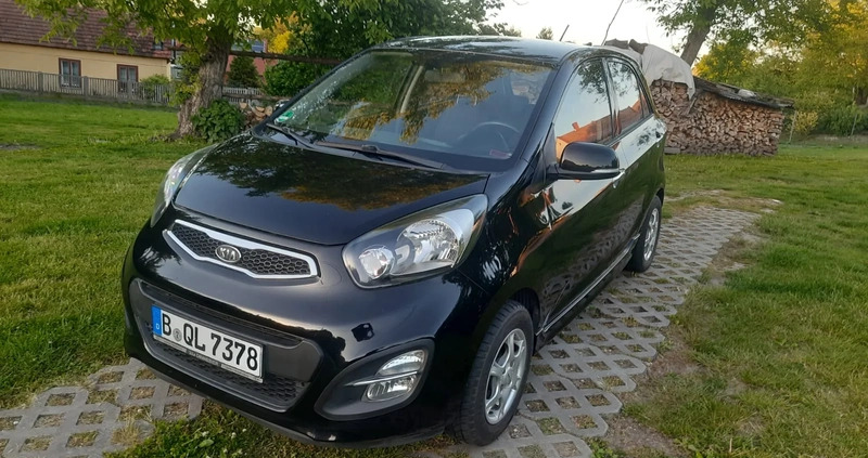 Kia Picanto cena 18800 przebieg: 125400, rok produkcji 2011 z Pińczów małe 172